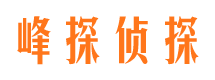 应县市婚姻调查